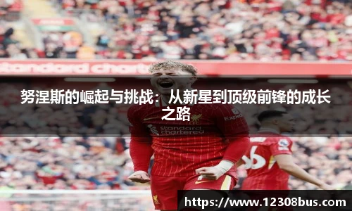 努涅斯的崛起与挑战：从新星到顶级前锋的成长之路