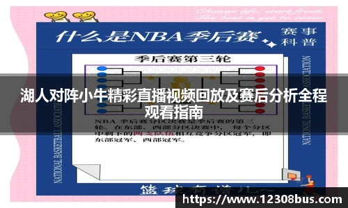 湖人对阵小牛精彩直播视频回放及赛后分析全程观看指南